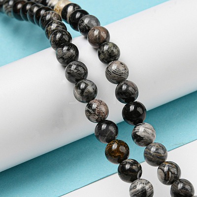 Natural Black Silver Leaf Jasper Beads Strands G-R494-A17-02-1