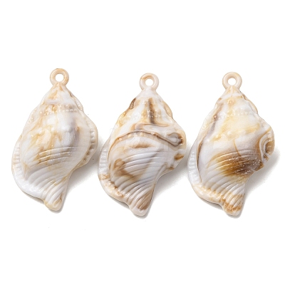 Imitation Shell Acrylic Pendants SACR-K005-07C-1