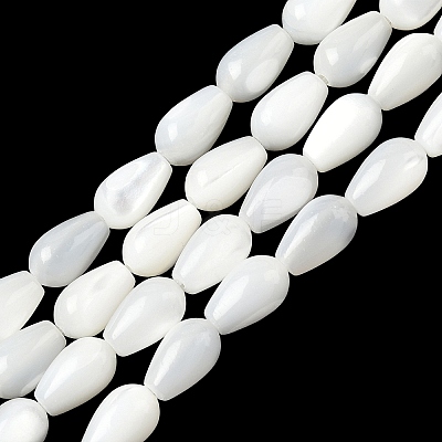 Natural White Shell Beads Strands SH-CBAF49A-03-1