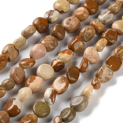 Natural Picture Jasper Beads Strands G-P497-01C-25-1
