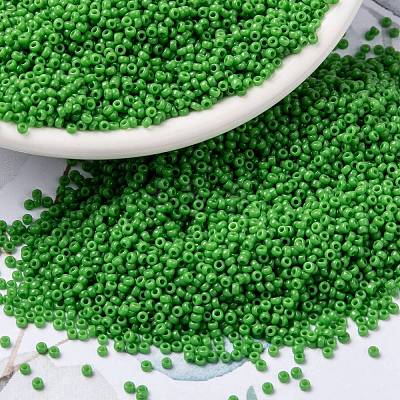 MIYUKI Round Rocailles Beads X-SEED-G009-RR0411-1