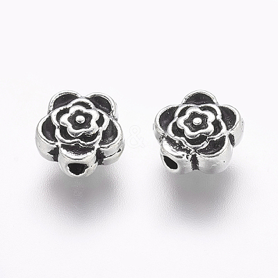Tibetan Style Alloy Beads LF0590Y-NF-1
