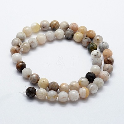 Natural Bamboo Leaf Agate Beads Strands G-I199-13-10mm-1