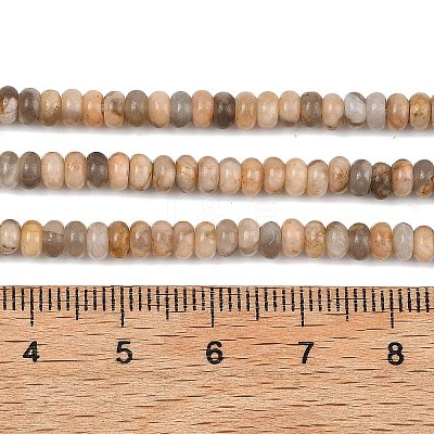 Natural Feldspar Beads Strands G-K343-C53-01-1