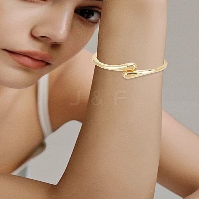 1Pc Alloy Hinged Bangles for Women BJEW-LP0002-48-1
