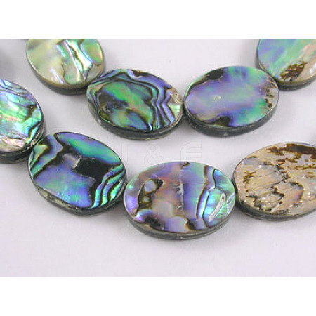Natural Abalone Shell/Paua Shell Beads Strands SHS017-01-1