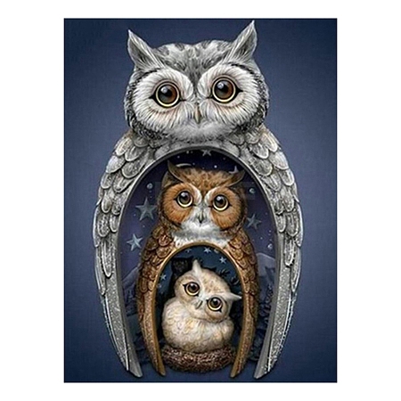 Owl Pattern DIY Diamond Painting Kit PW-WG91453-05-1