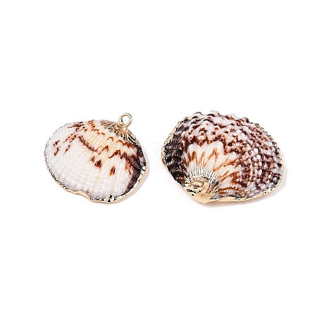 Natural Sea Shell Pendants SSHEL-N038-19-1