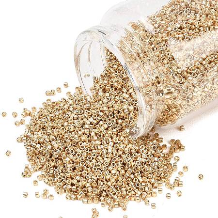 MIYUKI Delica Beads X-SEED-J020-DB2501-1