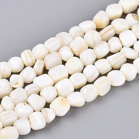 Natural Freshwater Shell Beads Strands BSHE-T014-51B-1