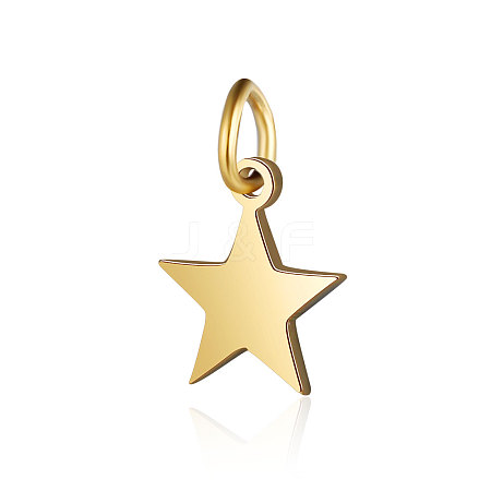 201 Stainless Steel Charms STAS-S105-T554D-8-2-1