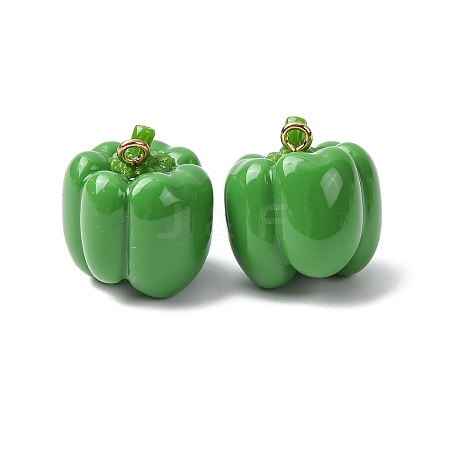 Imitation Vegetable Resin Pendants RESI-K033-03A-02-1