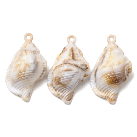 Imitation Shell Acrylic Pendants SACR-K005-07C-1