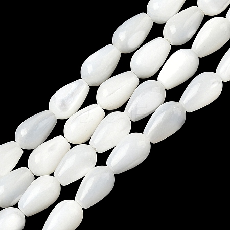 Natural White Shell Beads Strands SH-CBAF49A-03-1