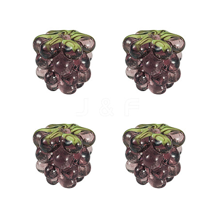 4Pcs Handmade Lampwork Beads LAMP-TA0002-24F-1