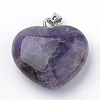 Natural Amethyst Pendants G-S219-18D-2