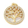 Brass Micro Pave Cubic Zirconia Pendants X1-KK-K298-16G-02-1