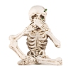 Halloween Theme Resin Skeleton Display Decorations PW-WGE5C74-01-1