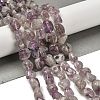 Natural Purple Lodolite Quartz Beads Strands G-P497-01E-39A-2