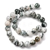 Natural Tree Agate Beads Strands G-T150-A09-12mm-4