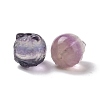 Natural Fluorite Beads G-P483-06-3