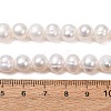 Natural Cultured Freshwater Pearl Beads Strands PA-CBABE82-04-5