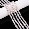 Natural White Agate Beads Strands G-T138-211A-1
