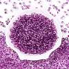 Baking Paint Electroplate Transparent Glass Seed Beads SEED-N006-07F-2