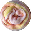 Gradient Color Needle Felting Wool Roving PW-WG43275-04-1