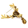 Animal Zinc Alloy Rhinestone Brooches JEWB-R052-01AG-02-2