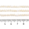 Natural Trochus Shell Beads Strands SHEL-P017-05-4