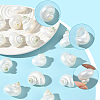 20Pcs Natural Spiral Shell Beads SSHEL-SC0001-56-3