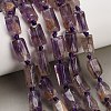 Natural Purple Phantom Quartz/Purple Lodolite Quartz Beads Strands GG-CBACBBC-A01-01-1