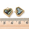 Natural Paua Shell Pendants STAS-G397-05G-02-3