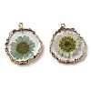 Inner Dried Flower Resin Pendants RESI-P028-02KCG-02-2