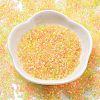 Transparent Colours Glass Seed Beads SEED-H003-01J-2