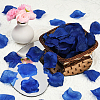 100G Satin Artificial Rose Petals DIY-SP0005-68F-5