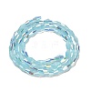 Baking Painted Glass Beads Strands DGLA-D001-01F-2