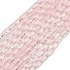Transparent Glass Beads Strands GLAA-Z018-C22-1