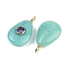 Natural Amazonite Pendants G-H322-01G-03-2