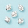 304 Stainless Steel Charms STAS-F180-03S-2