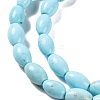 Natural Howlite Beads Strands G-H025-02A-4