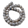 Natural Gemstone Beads Strands G-L641-A01-04-3
