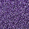 MIYUKI Delica Beads SEED-MY11-DB2168-3