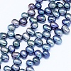 Natural Cultured Freshwater Pearl Beads Strands PEAR-G004-03B-01A-X-1
