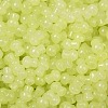 Transparent Colours Glass Seed Beads SEED-R001-01M-2