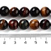 Natural Tiger Eye Beads Strands G-G448-10mm-21AB-2