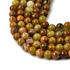 Natural Green Opal Beads Strands G-K245-A17-A02-01-3