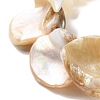 Natural Shell Beads Stretch Bracelets BJEW-H621-02-3