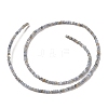 Natural Freshwater Shell Beads Strands X-SHEL-P017-01A-13-2